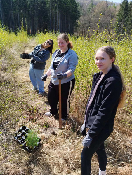 Schüler gehen in den Wald